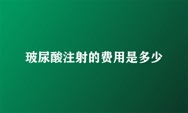 玻尿酸注射的费用是多少