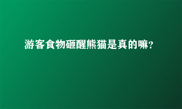 游客食物砸醒熊猫是真的嘛？