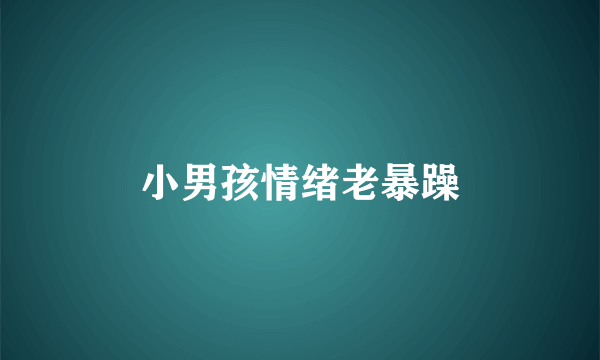 小男孩情绪老暴躁