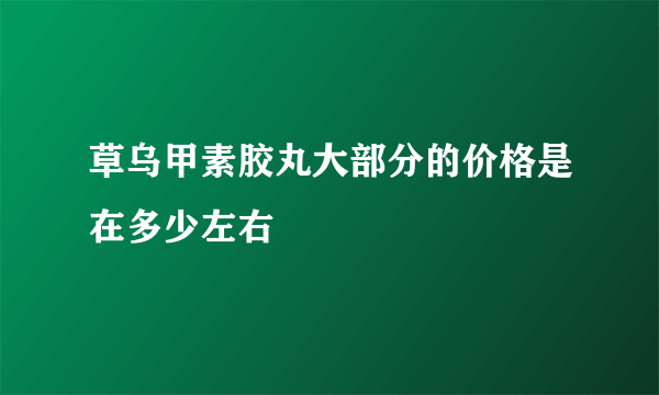 草乌甲素胶丸大部分的价格是在多少左右