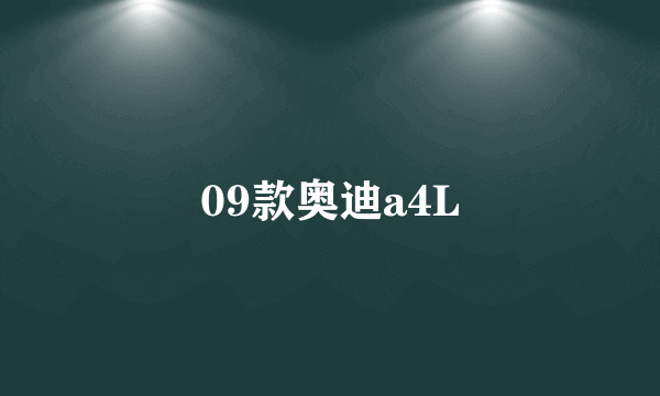 09款奥迪a4L