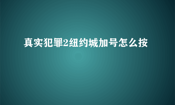 真实犯罪2纽约城加号怎么按