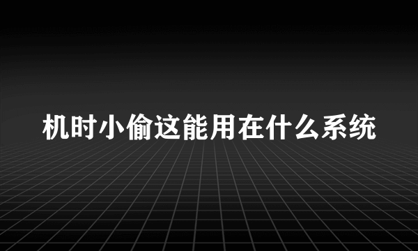 机时小偷这能用在什么系统