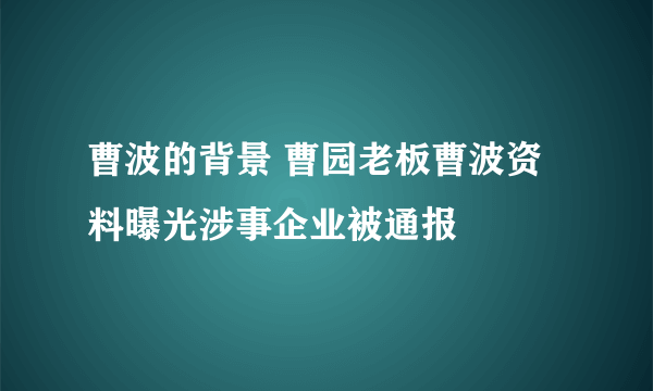 曹波的背景 曹园老板曹波资料曝光涉事企业被通报