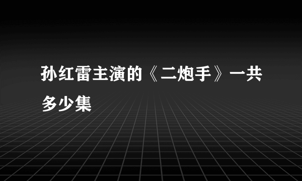 孙红雷主演的《二炮手》一共多少集