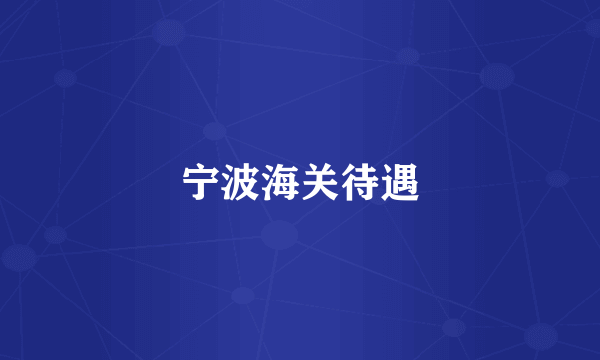 宁波海关待遇