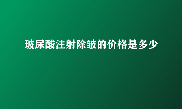 玻尿酸注射除皱的价格是多少