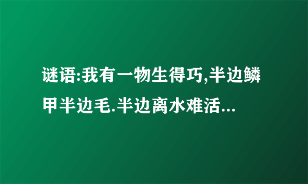 谜语:我有一物生得巧,半边鳞甲半边毛.半边离水难活命,半边入水命难保.