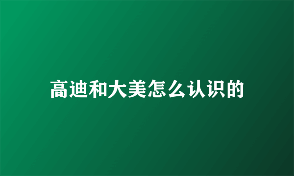 高迪和大美怎么认识的