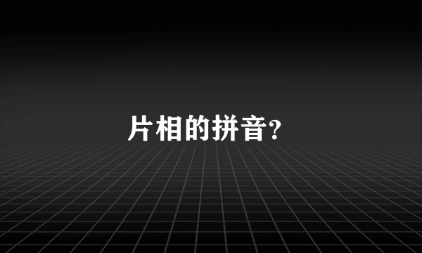 片相的拼音？