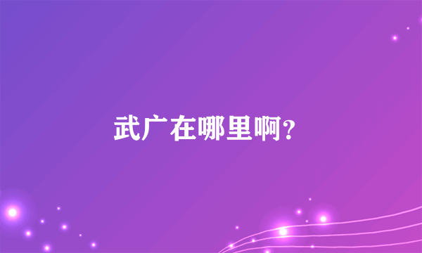 武广在哪里啊？