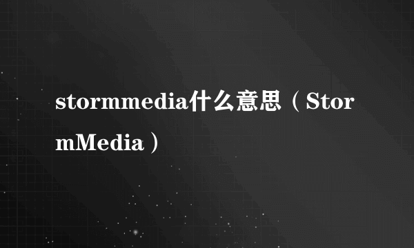 stormmedia什么意思（StormMedia）