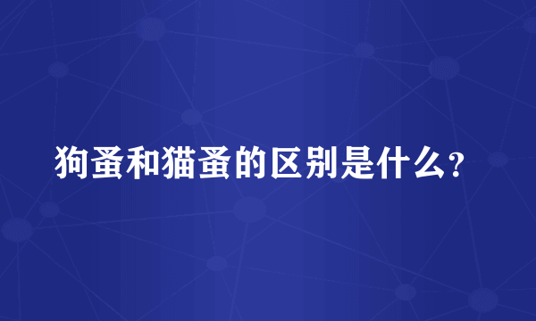 狗蚤和猫蚤的区别是什么？