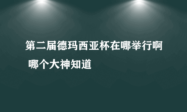 第二届德玛西亚杯在哪举行啊 哪个大神知道