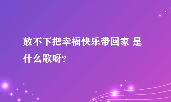 放不下把幸福快乐带回家 是什么歌呀？