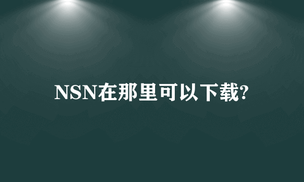 NSN在那里可以下载?