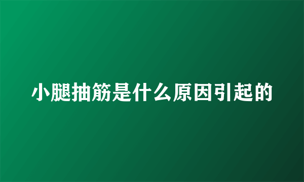 小腿抽筋是什么原因引起的