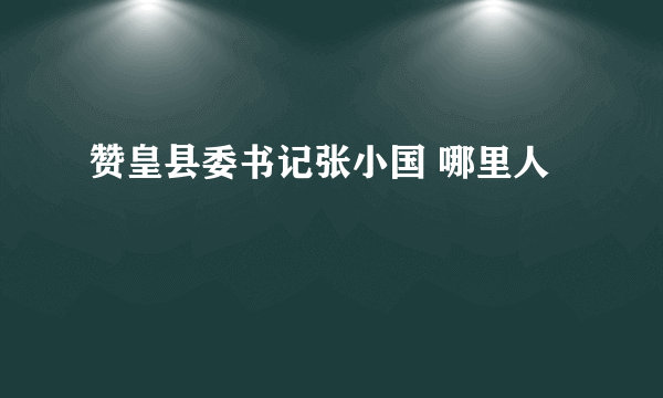 赞皇县委书记张小国 哪里人
