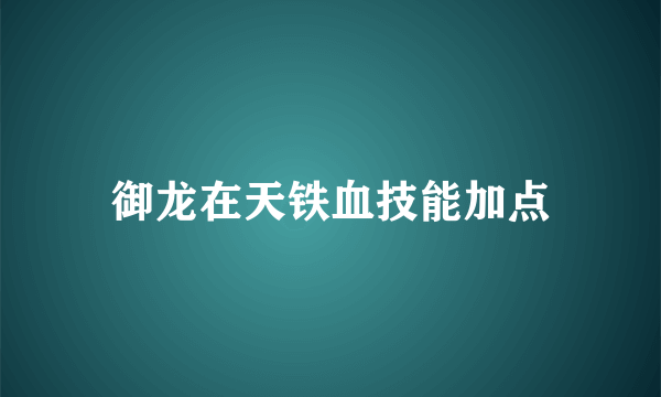 御龙在天铁血技能加点