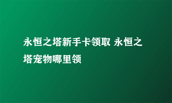 永恒之塔新手卡领取 永恒之塔宠物哪里领