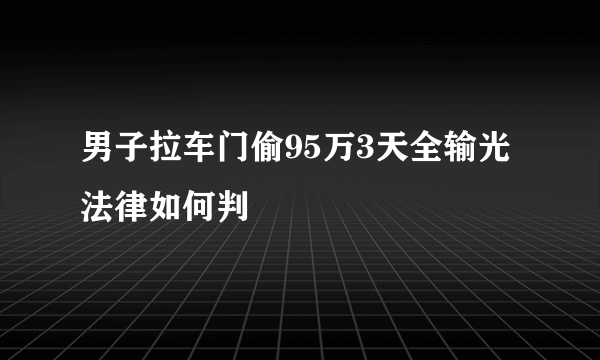 男子拉车门偷95万3天全输光法律如何判