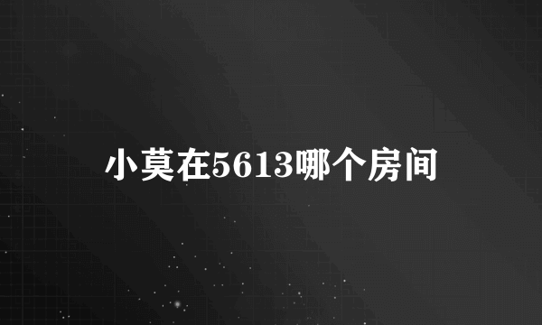 小莫在5613哪个房间