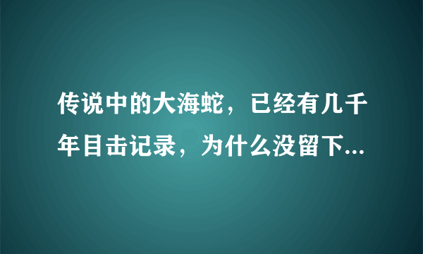 传说中的大海蛇，已经有几千年目击记录，为什么没留下任何证据？