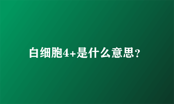 白细胞4+是什么意思？