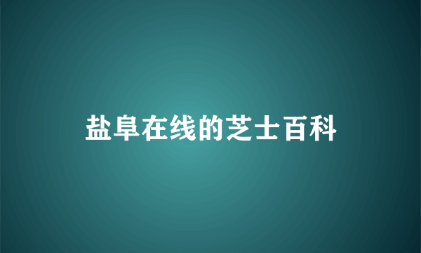 盐阜在线的芝士百科