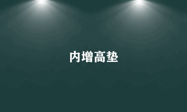 内增高垫