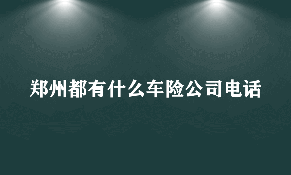 郑州都有什么车险公司电话