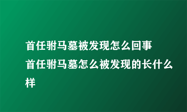 首任驸马墓被发现怎么回事 首任驸马墓怎么被发现的长什么样