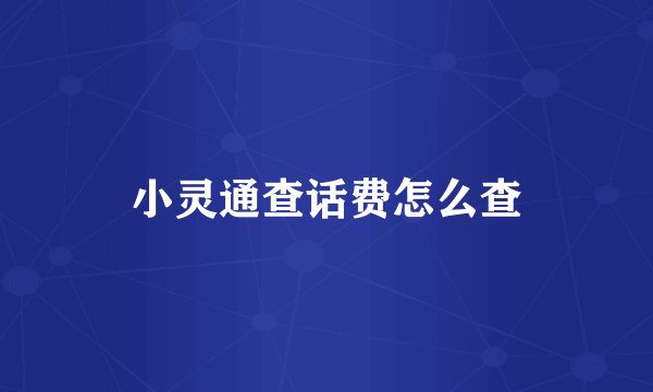 小灵通查话费怎么查