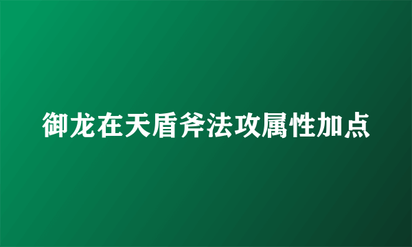 御龙在天盾斧法攻属性加点