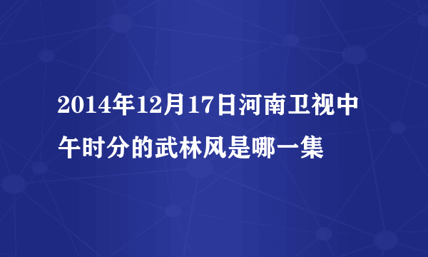 2014年12月17日河南卫视中午时分的武林风是哪一集