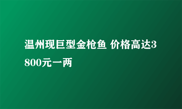 温州现巨型金枪鱼 价格高达3800元一两