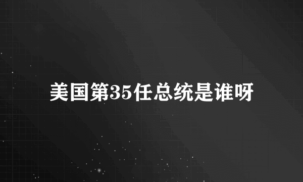 美国第35任总统是谁呀