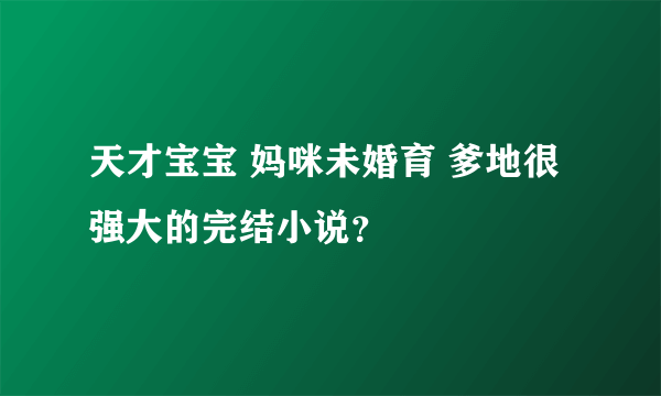 天才宝宝 妈咪未婚育 爹地很强大的完结小说？