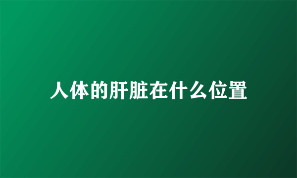 人体的肝脏在什么位置