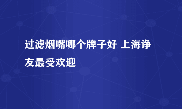过滤烟嘴哪个牌子好 上海诤友最受欢迎