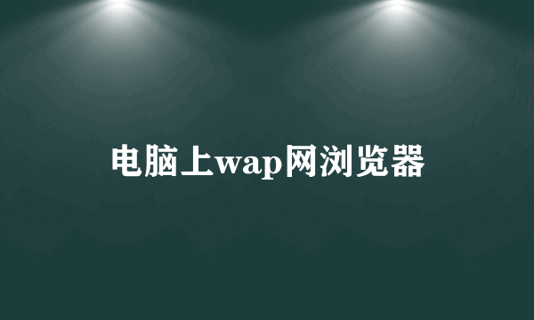 电脑上wap网浏览器