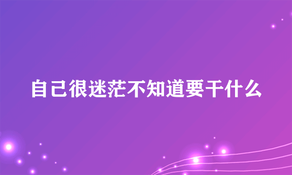 自己很迷茫不知道要干什么