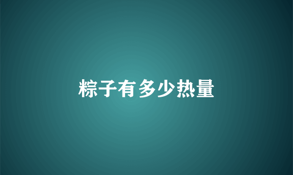 粽子有多少热量