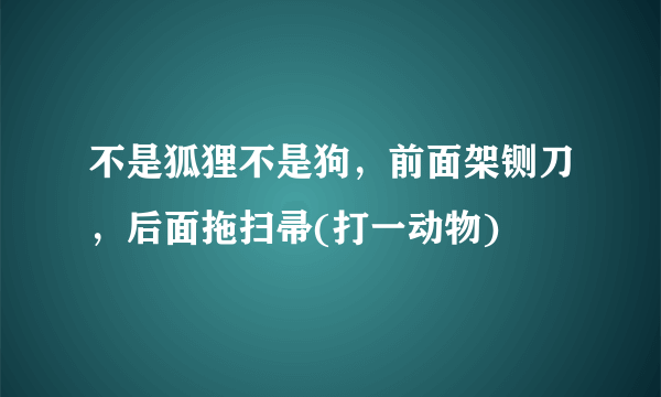 不是狐狸不是狗，前面架铡刀，后面拖扫帚(打一动物)