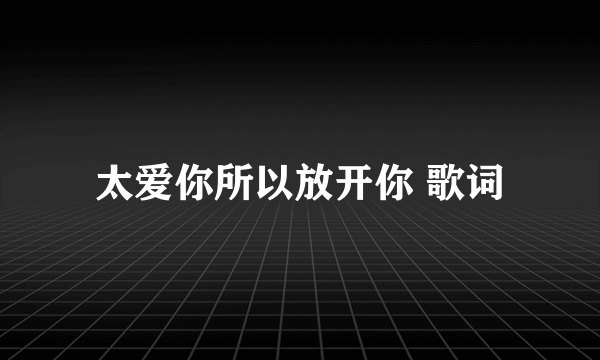 太爱你所以放开你 歌词