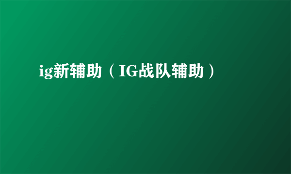 ig新辅助（IG战队辅助）
