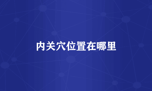 内关穴位置在哪里