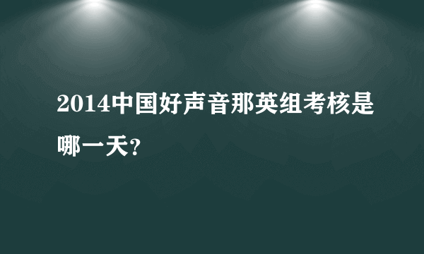 2014中国好声音那英组考核是哪一天？