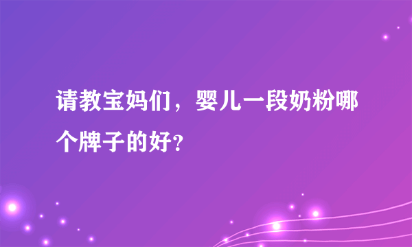 请教宝妈们，婴儿一段奶粉哪个牌子的好？
