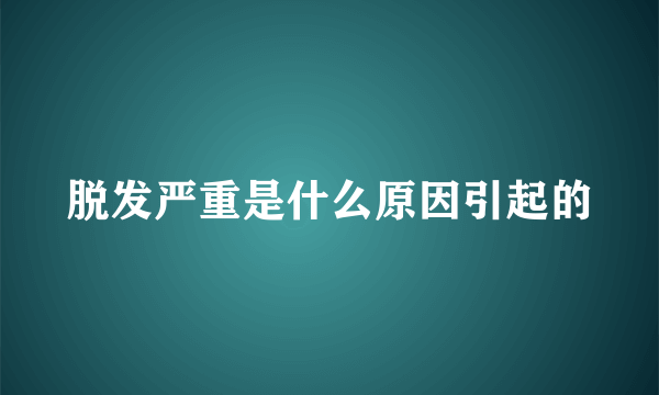 脱发严重是什么原因引起的
